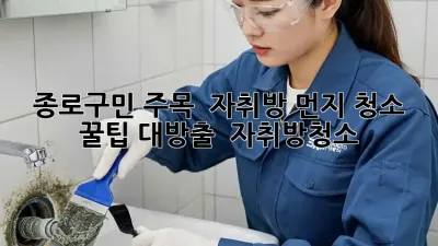 종로구민 주목! ✨ 자취방 먼지 청소 꿀팁 대방출! 🏡 #자취방청소