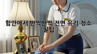 함안에서 ✨반짝반짝✨ 전면 유리 청소 꿀팁!