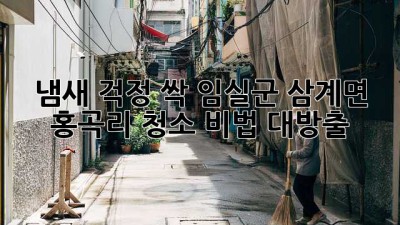 🏡 냄새 걱정 싹! 임실군 삼계면 홍곡리 청소 비법 대방출 🤫